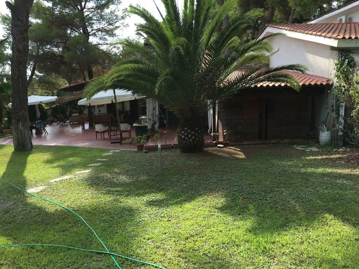 Dimitra Villa Sani  0*, Sani (Chalkidiki) Griekenland